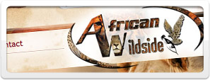 African Wildside